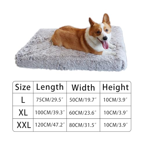 TMbsfatn Memory Foam Orthopedic Dog Bed (75-50-10CM)