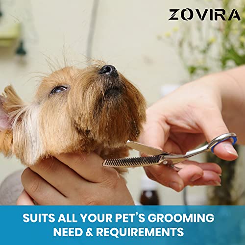 Grooming Set: Dog & Cat Hair Scissors