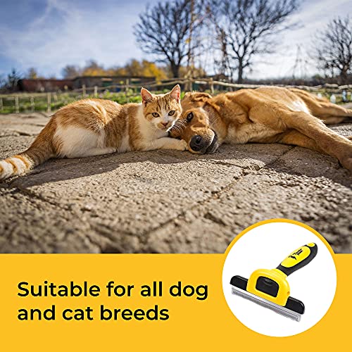 Thunderpaws Professional Deshedding Tool - D-Shedz for Dogs and Cats