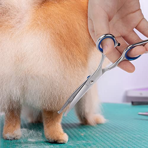 Stainless Steel Dog Grooming Scissors - Curved