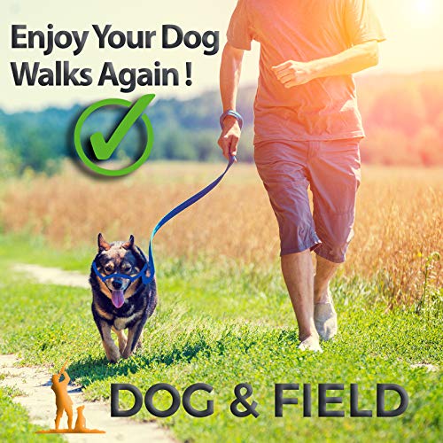 Figure 8 Anti Pull Dog Lead - Red