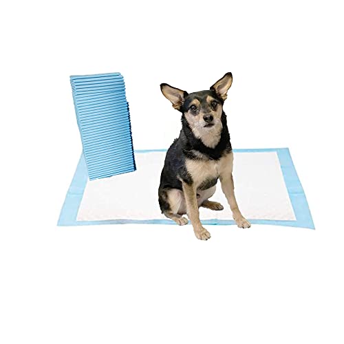 Pet Potty Training Pads - Super-Absorbent, Waterproof - 50 Pack