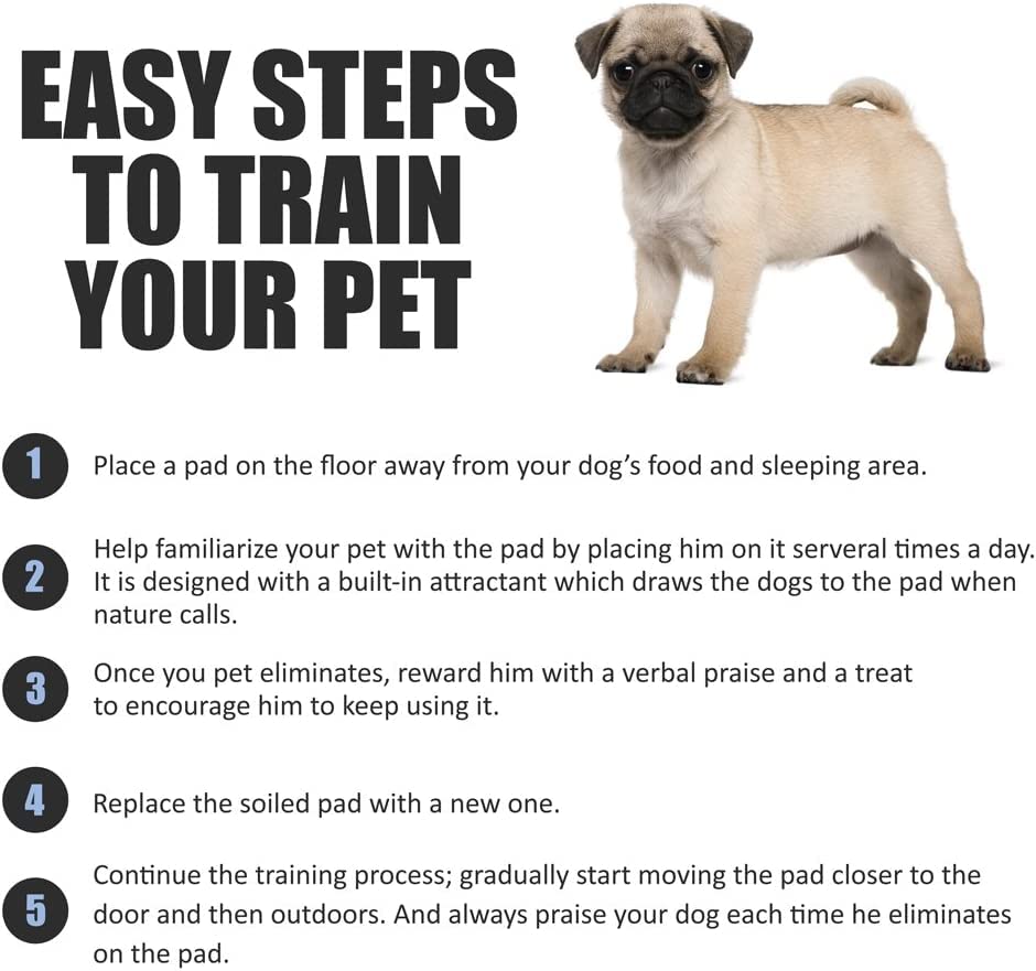 Pet Potty Training Pads - Super-Absorbent, Waterproof - 50 Pack