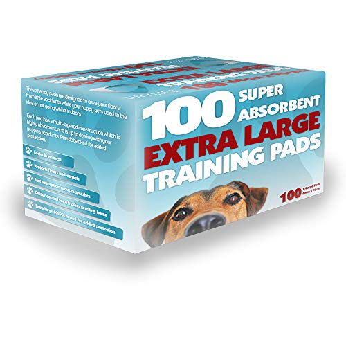 Drylife Super Absorbent XL Dog Training Pads