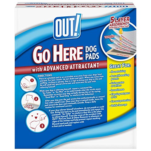 100 Absorbent Dog Training Pads by OUT! Go Here