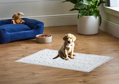 Drylife Super Absorbent XL Dog Training Pads