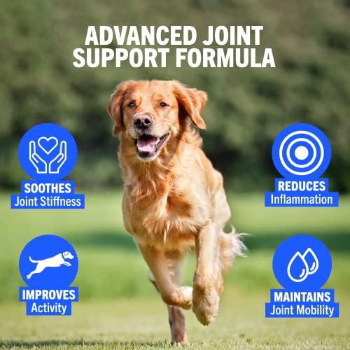 Advanced Joint Support Supplements for Dogs | 300 Tabs