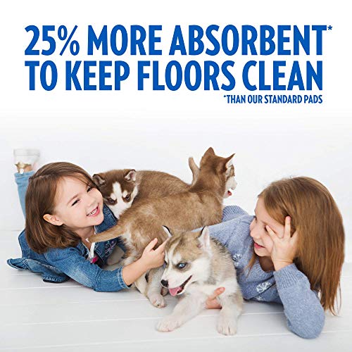 100 Absorbent Dog Training Pads by OUT! Go Here