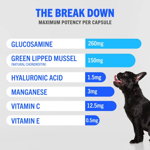 Advanced Joint Support Supplements for Dogs | 300 Tabs