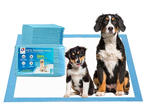 Large Hexagonal Puppy Training Pads - 20 Pack