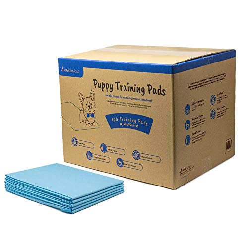 AllPetSolutions Puppy Training Pads - Extra Large 100-Pack