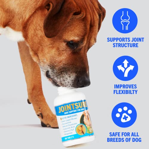 Advanced Joint Support Supplements for Dogs | 300 Tabs