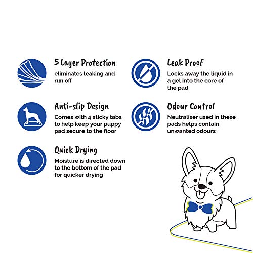 AllPetSolutions Puppy Training Pads - Extra Large 100-Pack