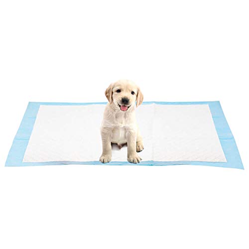AllPetSolutions Puppy Training Pads - Extra Large 100-Pack