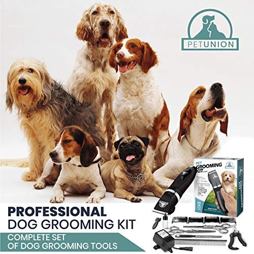 Dog Grooming Kit - Rechargeable Clippers & Accessories