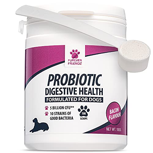 Chicken & Bacon Flavour Probiotic Powder for Dogs