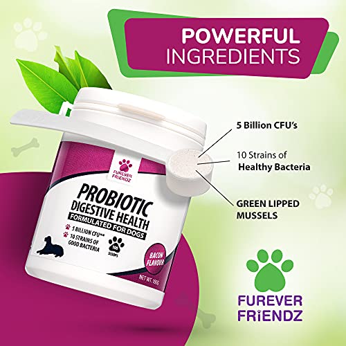 Chicken & Bacon Flavour Probiotic Powder for Dogs