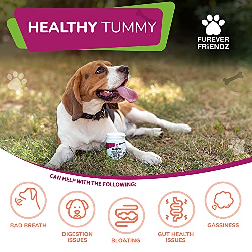 Chicken & Bacon Flavour Probiotic Powder for Dogs