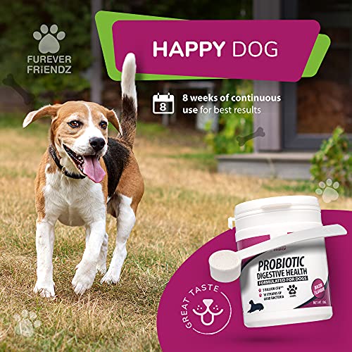 Chicken & Bacon Flavour Probiotic Powder for Dogs