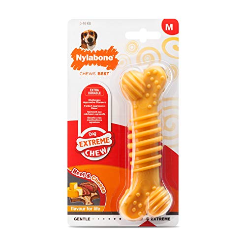 Nylabone Tough Beef & Cheese Chew Toy, Medium