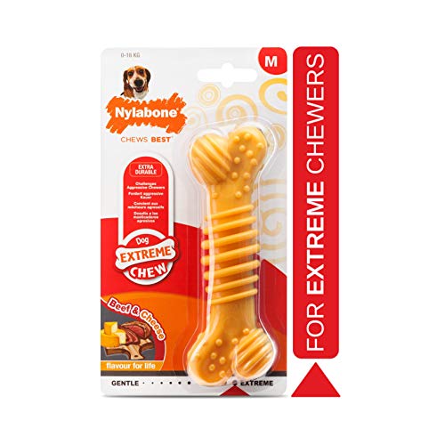 Nylabone Tough Beef & Cheese Chew Toy, Medium