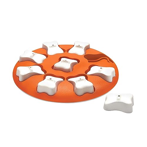 Nina Ottosson Dog Smart Interactive Treat Puzzle