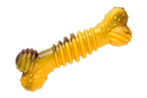 Nylabone Tough Beef & Cheese Chew Toy, Medium