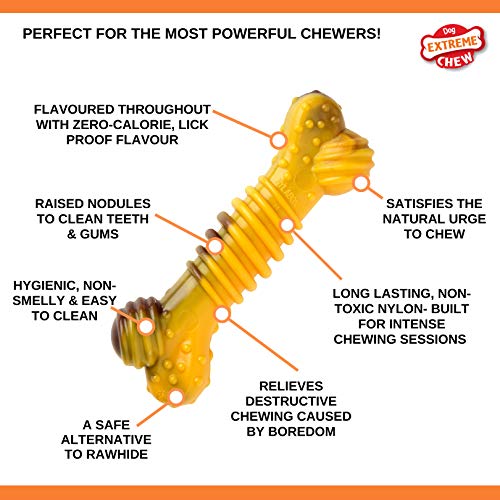 Nylabone Tough Beef & Cheese Chew Toy, Medium