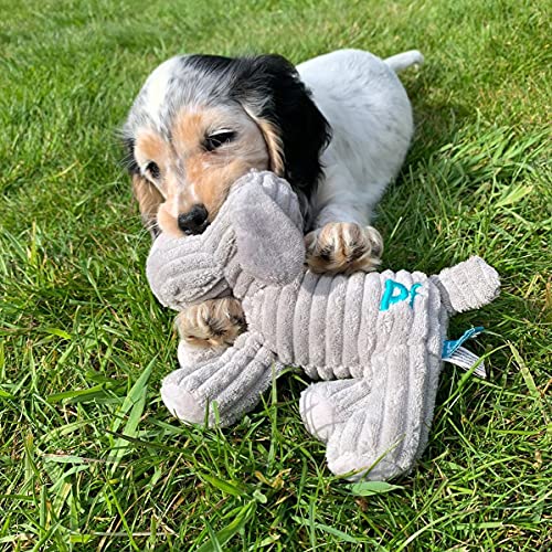 Petface Freddi Cord Plush Dog Toy