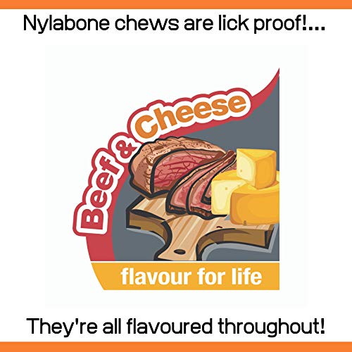Nylabone Tough Beef & Cheese Chew Toy, Medium