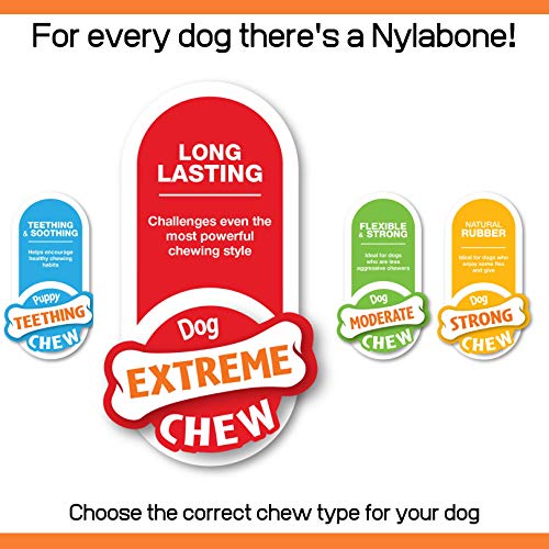 Nylabone Tough Beef & Cheese Chew Toy, Medium