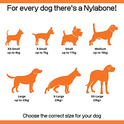 Nylabone Tough Beef & Cheese Chew Toy, Medium