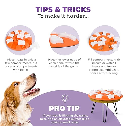 Nina Ottosson Dog Smart Interactive Treat Puzzle