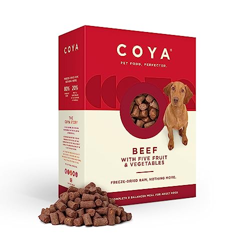 Hypoallergenic Freeze-Dried Beef Dog Food