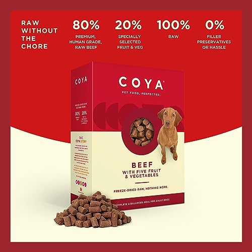 Hypoallergenic Freeze-Dried Beef Dog Food