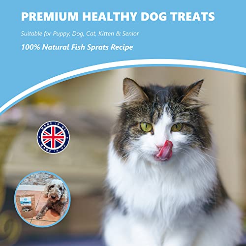 100% Natural Sprats Dog Treats - Healthy Air-Dried Fish