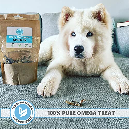 100% Natural Sprats Dog Treats - Healthy Air-Dried Fish