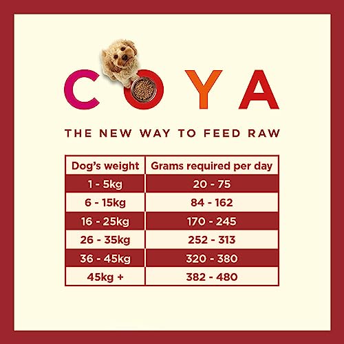 Hypoallergenic Freeze-Dried Beef Dog Food