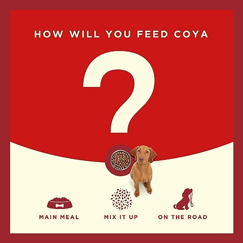 Hypoallergenic Freeze-Dried Beef Dog Food