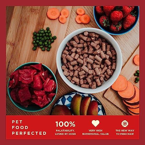 Hypoallergenic Freeze-Dried Beef Dog Food