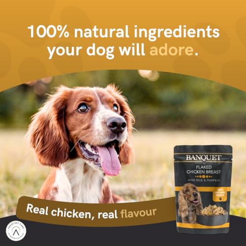 HiLife Banquet Wet Dog Food: Chicken & Rice with Tuna