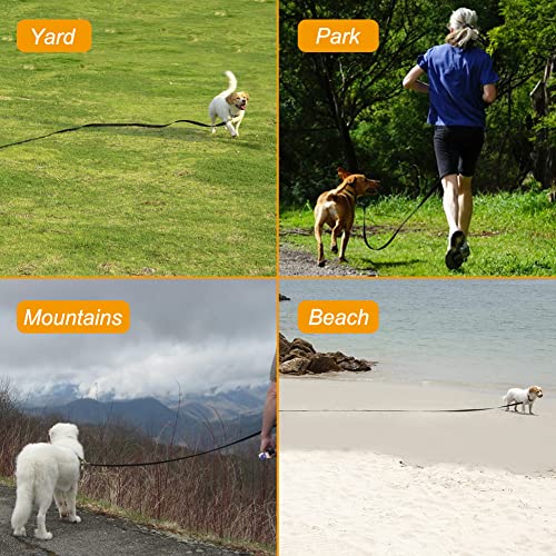 Longline Dog Lead, 10m Nylon Leash for Tracking
