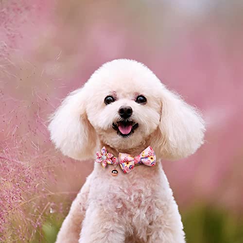 Flower Pattern Dog Collar and Leash Set
