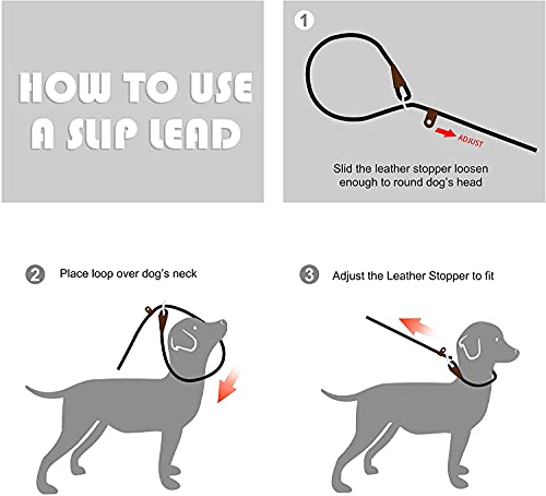 Durable Slip Rope Leash with Reflective Stitching