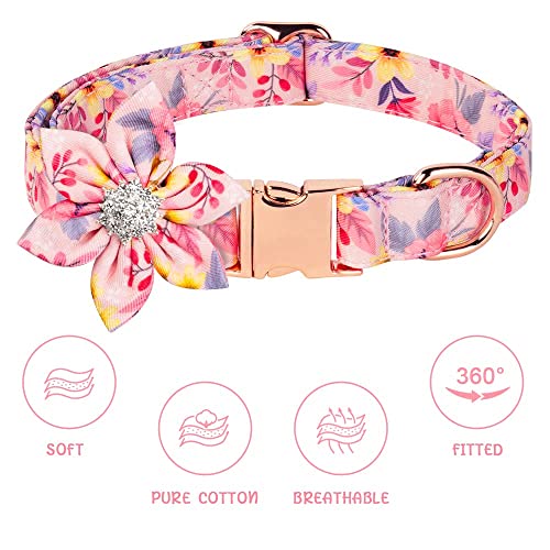 Flower Pattern Dog Collar and Leash Set
