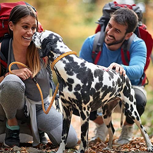 Durable Slip Rope Leash with Reflective Stitching