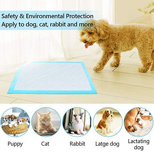 Premium Disposable Puppy Training Pads - Leak-Proof & Super Absorbent