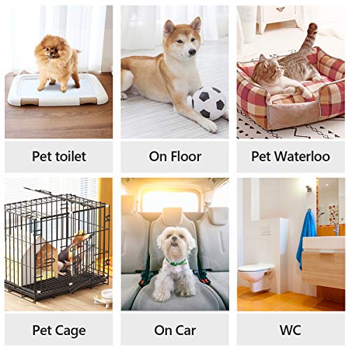 Premium Disposable Puppy Training Pads - Leak-Proof & Super Absorbent