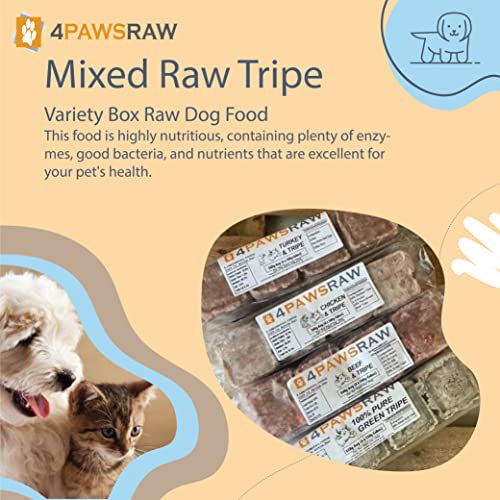 Tripe Variety Box Raw Dog Food - 20 Packs