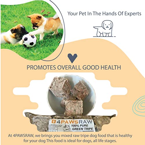 Tripe Variety Box Raw Dog Food - 20 Packs